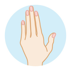 Female Clean hand -Front view　女性の手　正面