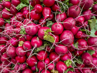 radishes