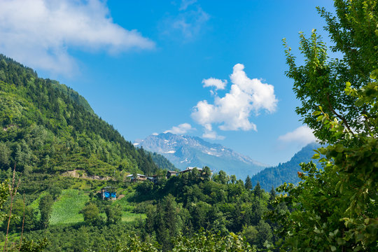 Macahel Valley in Eastern Black Sea, Artvin, Turkey.