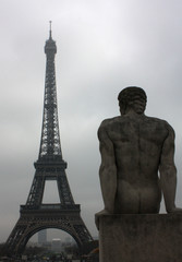 Fototapeta na wymiar Eiffel Tower from the Jardin Trocadero 2