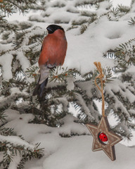 Bullfinch and retro Christmas decor of  spruce. Mass production