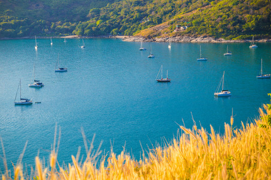 Fototapeta Yatch boat on Andaman sea with yellow grass