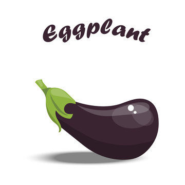 Vector illustration of fresh eggplant