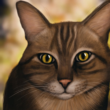 Brown Cat looking in the camera- Digital Painting