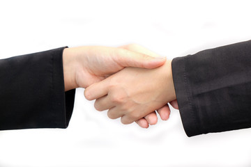 Close up of two business women shaking hand