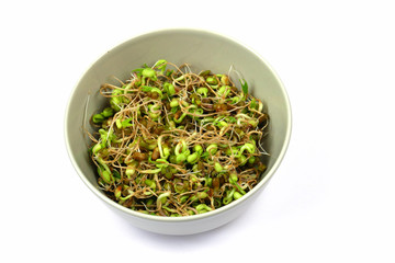 Bean sprouts