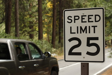 speed limit forest - obrazy, fototapety, plakaty