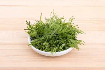 southerwood / Porcelain bowl with fresh twigs of sitherwood 