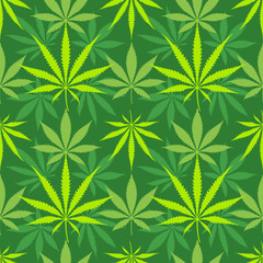 Fototapeta na wymiar cannabis marijuana leaves seamless pattern.