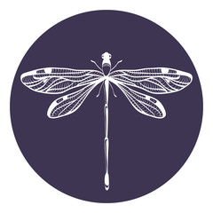 Beautiful icon dragonfly vector illustration.