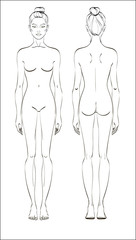 Female figure: front and back. Vector. Human body in linear style.