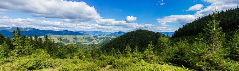 Fototapeta na wymiar Panoramic top trees view of Carpathian mountains and cloudy skys. High view