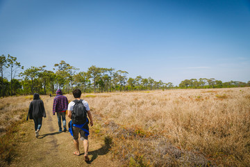 Tourist walking in forest Phu Kradung, Thailand.