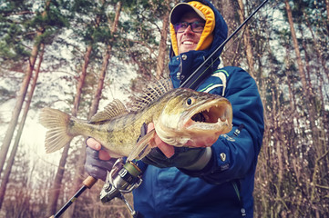 Fishing. Fisherman caught the zander.