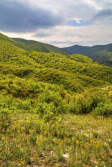 Beautiful mountain landscape