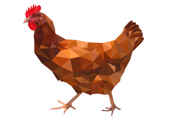 Chicken - Low poly illustration