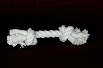 corda dentale per cani
