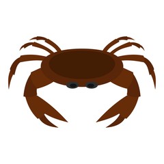 Edible brown crab icon isolated