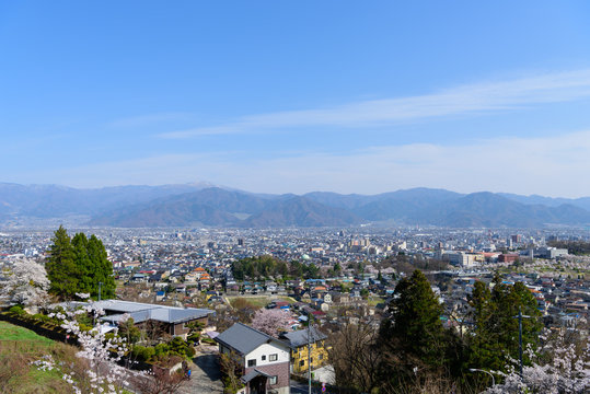 長野　桜と町並み　善光寺雲上殿からの眺め
