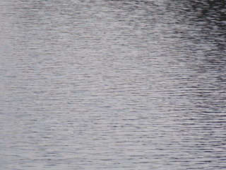 WATER IN LAKE