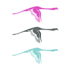 Flamingo Vector