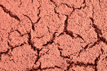 Mud ground is drying.