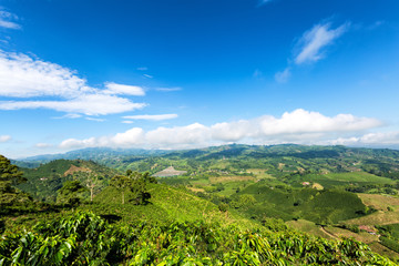 Fototapeta na wymiar Beautiful view on the top of a mountain on a coffee plantation looking out towards the town of Chinchina, Colombia.