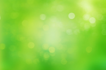 Green abstract background blur.