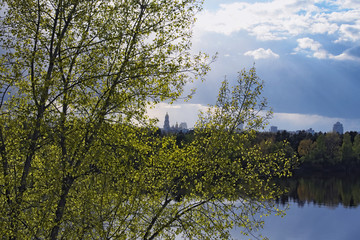 View of the bell tower of the Kiev-Pechersk Lavra through the branches with young leaves. Kyiv. Ukraine