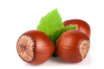Hazelnuts with leaves isolated on white background