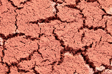 Mud ground is drying.