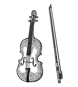 Violin. Vintage Black Engraving Illustration