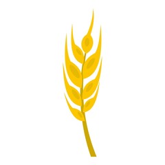 Barley spike icon isolated