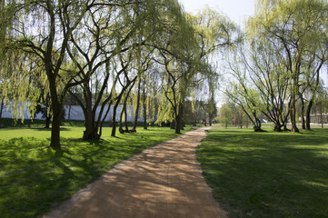 Fototapeta na wymiar Public park in early spring, nature beginning turn to green, romantic scene, tree shadows