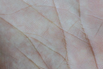 Macro of human hand palm skin - close up