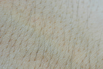 Macro of human skin - close up