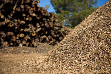 Biomass background