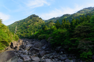 Fototapeta na wymiar 鹿児島　屋久島の自然