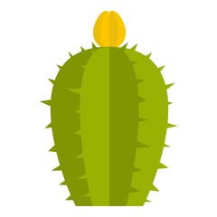 Blooming cactus icon isolated