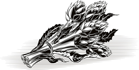 Artichokes tied to the deck.