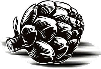 Roman artichokes Freshly harvested.