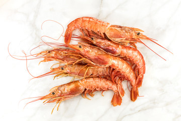 Raw shrimps on plate with copyspace