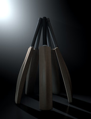 Cricket Back Circle Dramatic
