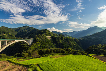 Obraz premium rice field landscape and arch bridge in Takachiho, Miyazaki, Japan.