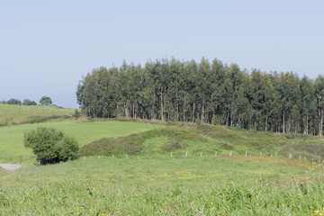 Fototapeta premium By the cape of quejo in the province of Cantabria