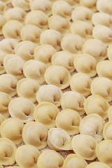 Homemade pelmeni background