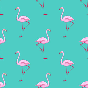 Vector pink flamingo bird seamless pattern. Hand drawn sketch with the wild animal