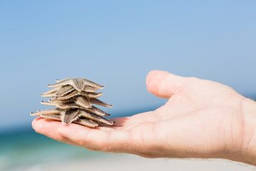 Starfish on hand against sky background