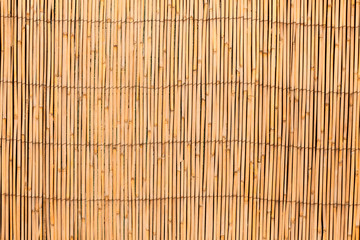 Curtain screen of reedsV