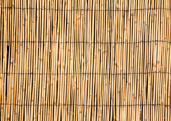 Curtain screen of reeds